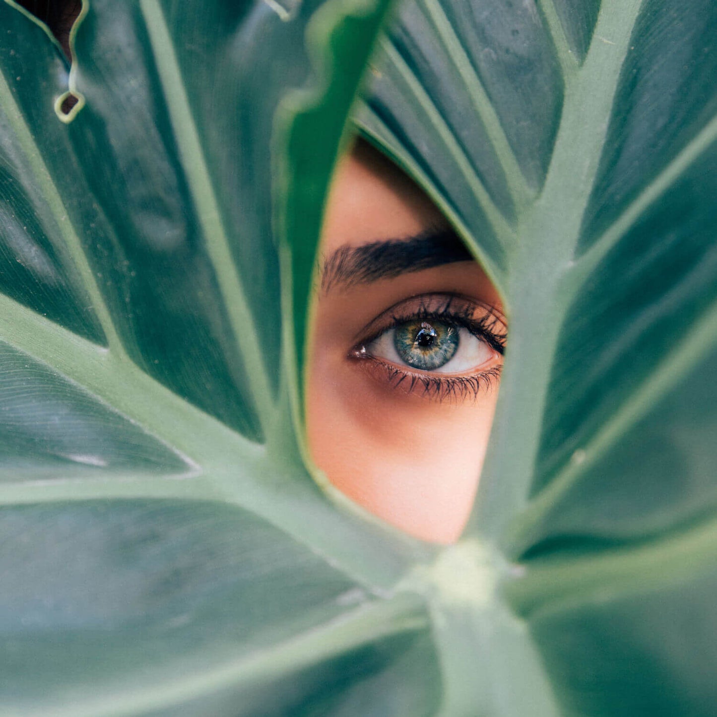 Eyelash Tint